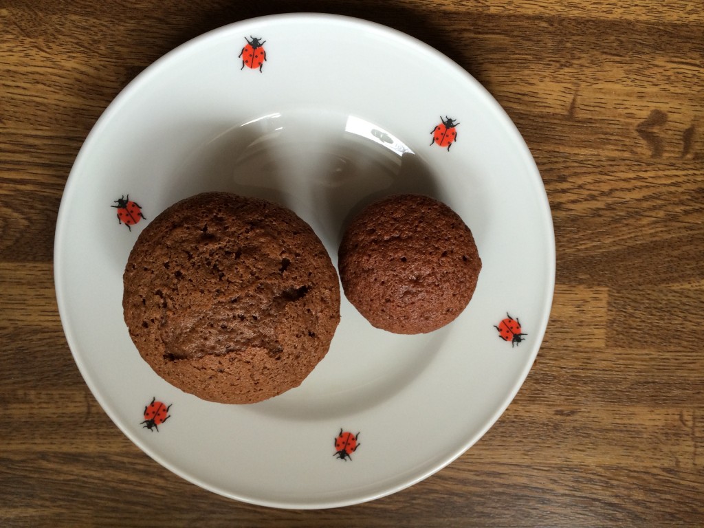 Schokolade-Rum Muffins