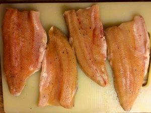 Saibling auf Gurken mit weißer Schokoladensauce