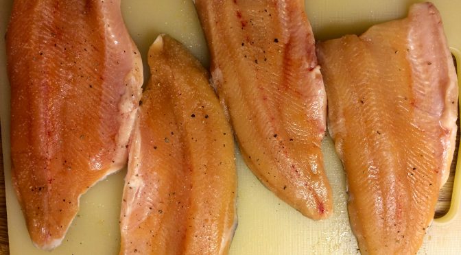 Saibling auf Gurken mit weißer Schokoladensauce