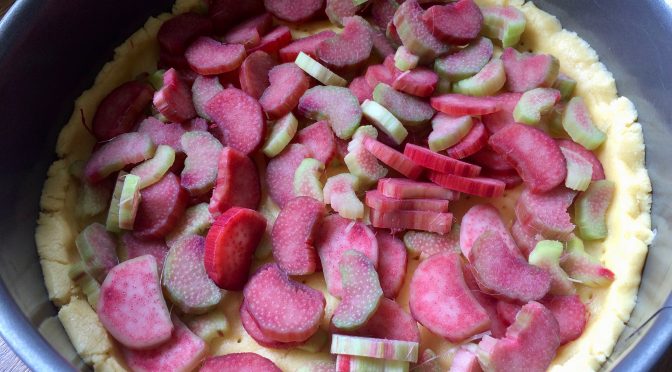 Oma Hedwigs Rhabarber Kuchen