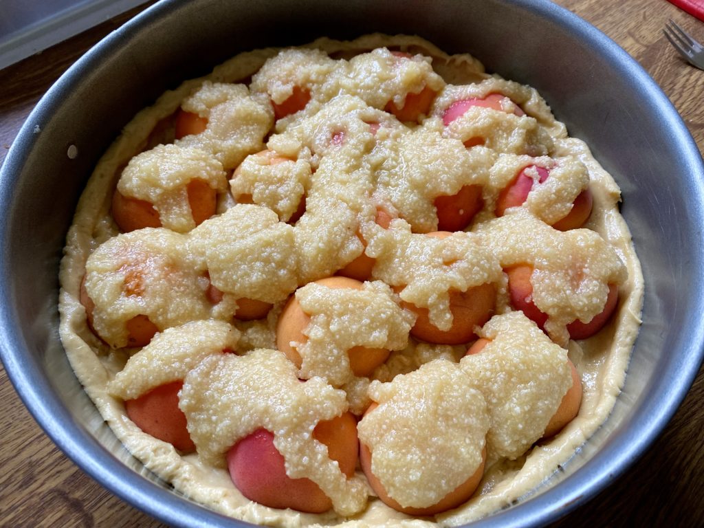 Aprikosen-Streuselkuchen